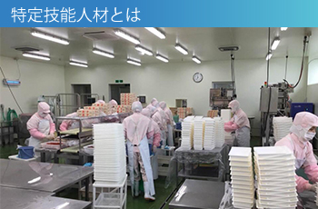 特定技能人材とは